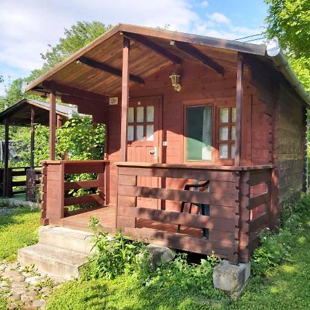 Bungalow Camping Edelweiss - Floare De Colt - Gyopar ルメテア エクステリア 写真
