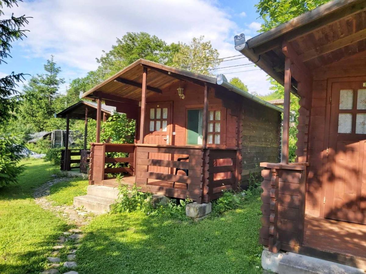 Bungalow Camping Edelweiss - Floare De Colt - Gyopar ルメテア エクステリア 写真