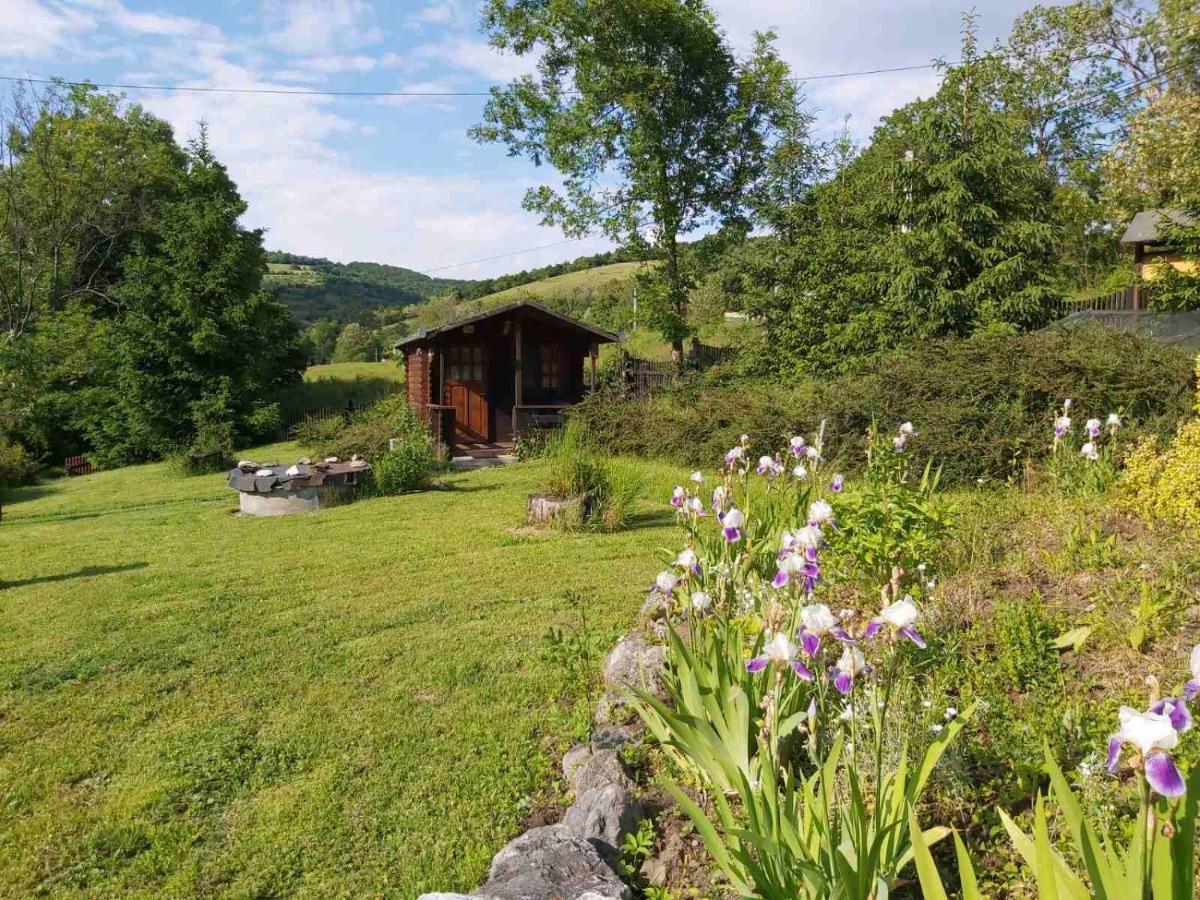 Bungalow Camping Edelweiss - Floare De Colt - Gyopar ルメテア エクステリア 写真