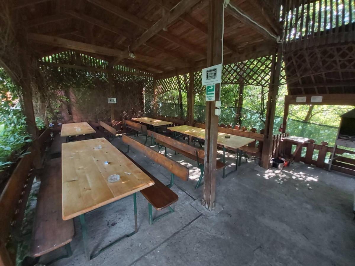 Bungalow Camping Edelweiss - Floare De Colt - Gyopar ルメテア エクステリア 写真