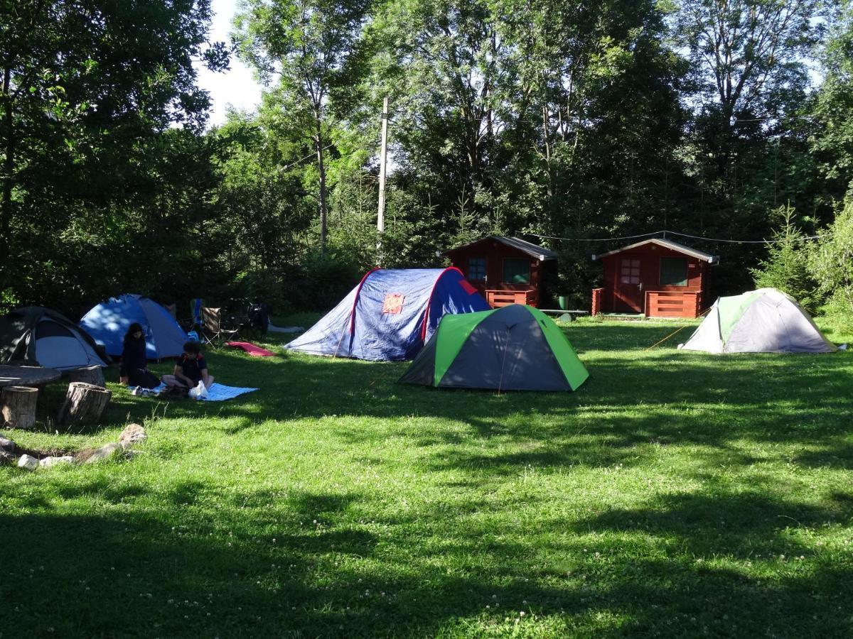 Bungalow Camping Edelweiss - Floare De Colt - Gyopar ルメテア エクステリア 写真