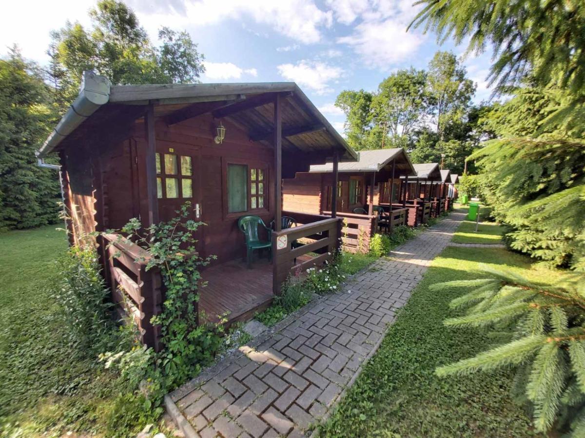 Bungalow Camping Edelweiss - Floare De Colt - Gyopar ルメテア エクステリア 写真