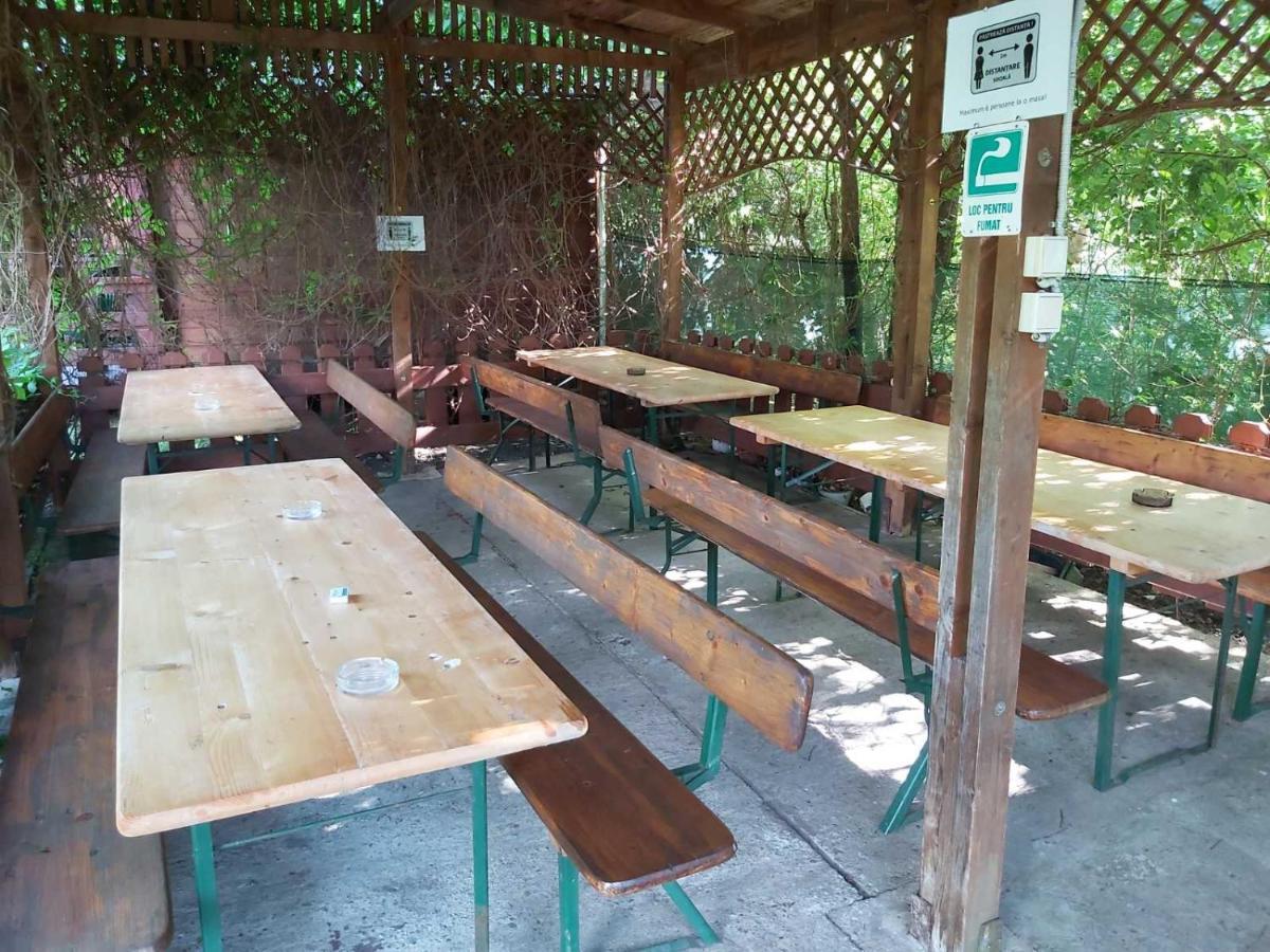 Bungalow Camping Edelweiss - Floare De Colt - Gyopar ルメテア エクステリア 写真