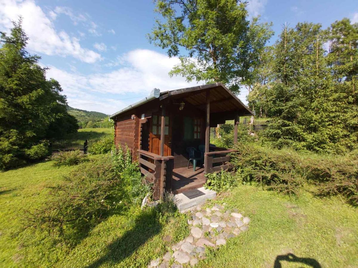 Bungalow Camping Edelweiss - Floare De Colt - Gyopar ルメテア エクステリア 写真