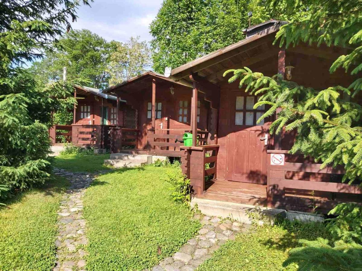 Bungalow Camping Edelweiss - Floare De Colt - Gyopar ルメテア エクステリア 写真